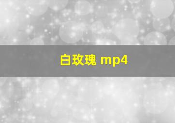 白玫瑰 mp4